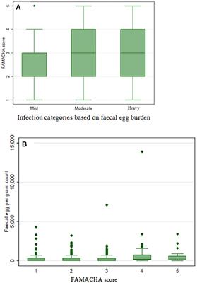 Ovine gastrointestinal parasite burden and the impact of strategic anthelmintic treatment in community-based breeding sites in Ethiopia